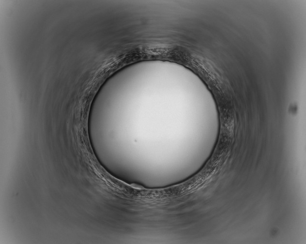 X0000098120817200804181518