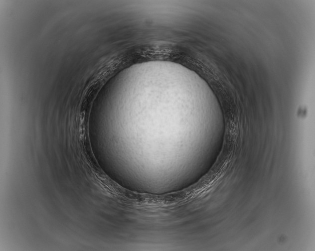 X0000098120818200804181518