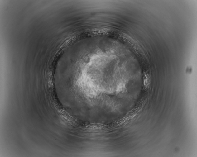 X0000098120819200804181518
