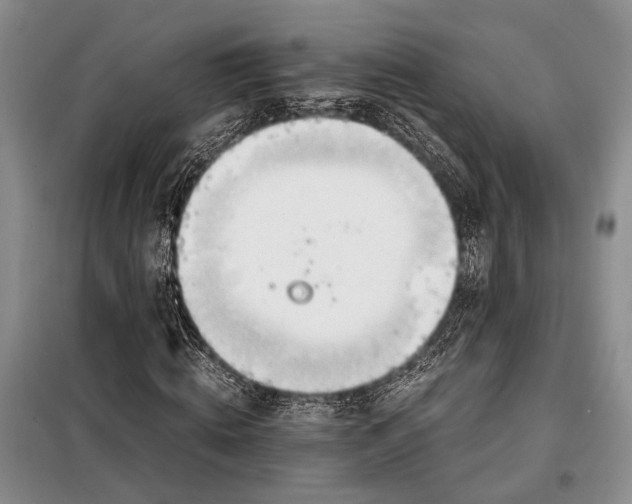 X0000098120820200804181518