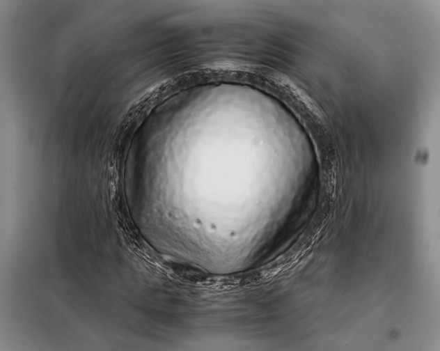 X0000098120821200804181518