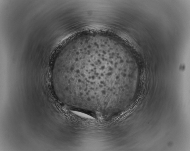X0000098120822200804181518