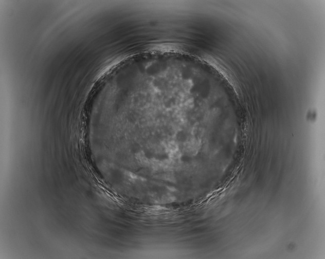 X0000098120823200804181518