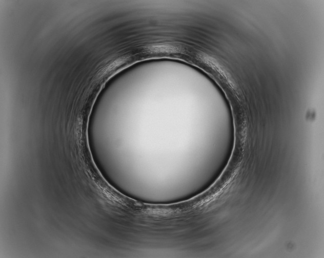 X0000098120825200804181518