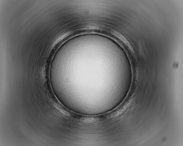 X0000098120826200804181518