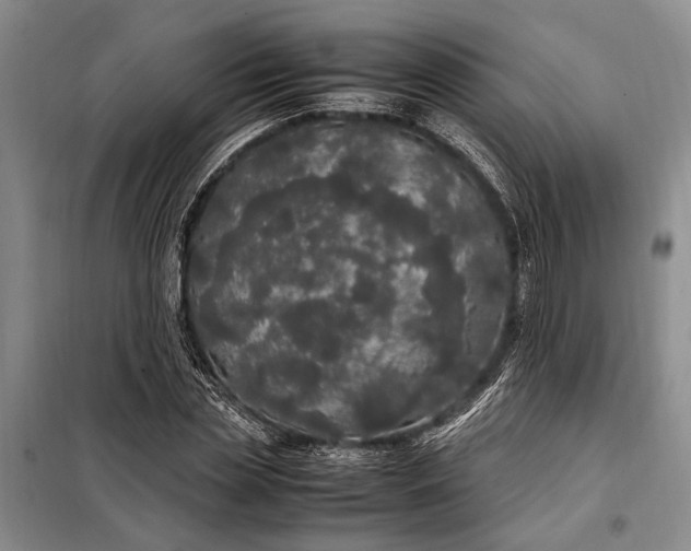 X0000098120829200804181518