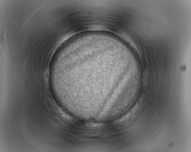 X0000098120831200804181518