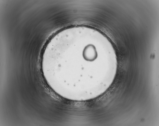 X0000098120832200804181518