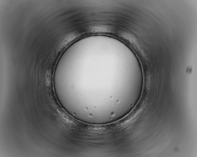 X0000098120833200804181518