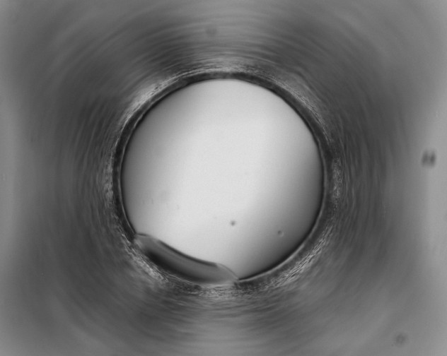 X0000098120834200804181518