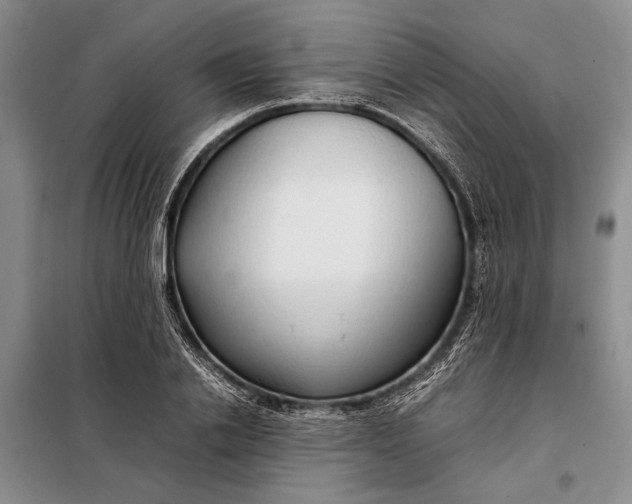 X0000098120838200804181518