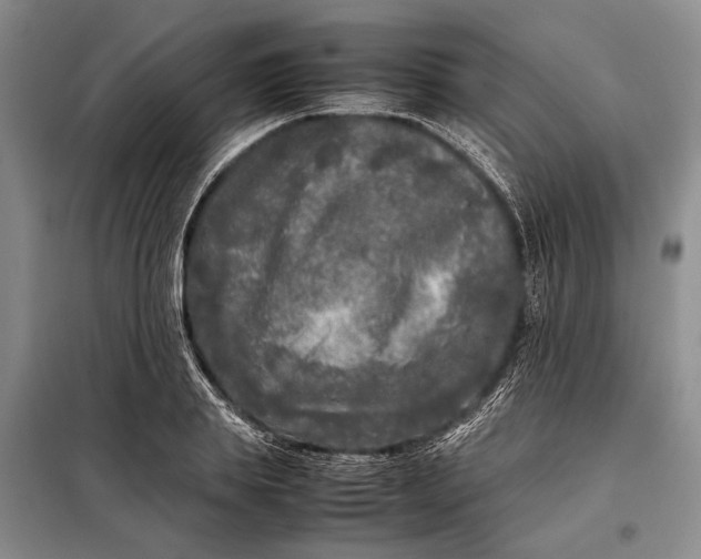 X0000098120839200804181518