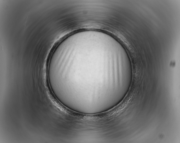 X0000098120840200804181518