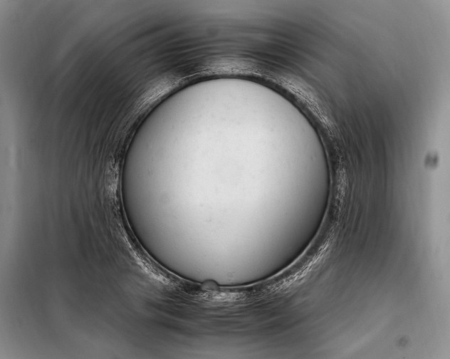 X0000098120841200804181518