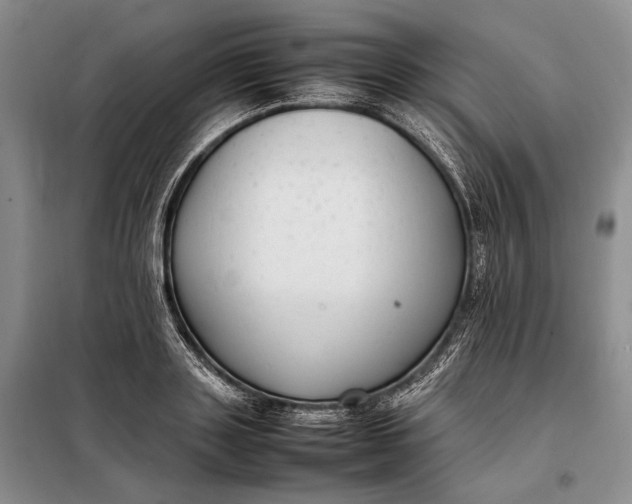 X0000098120843200804181518