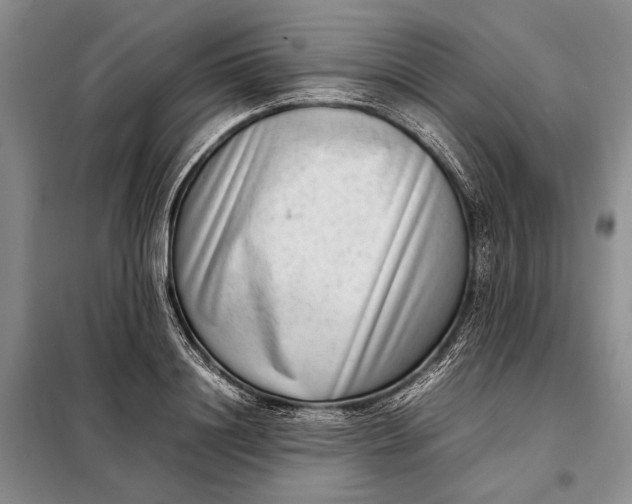 X0000098120844200804181518