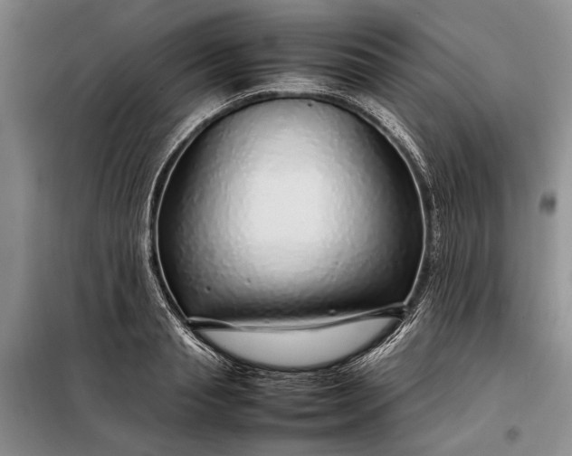 X0000098120845200804181518