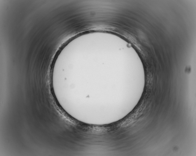X0000098120848200804181518
