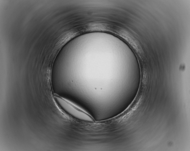 X0000098120849200804181518