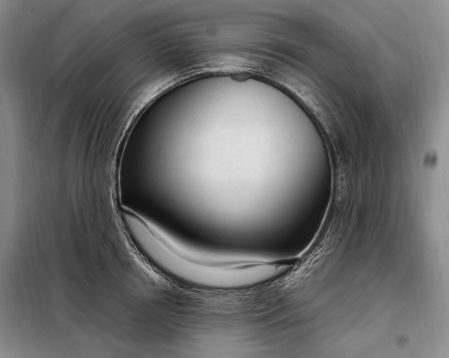 X0000098120850200804181518