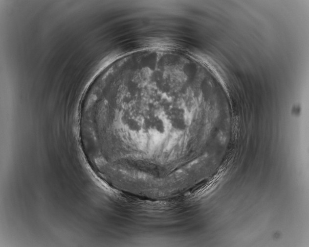 X0000098120851200804181519