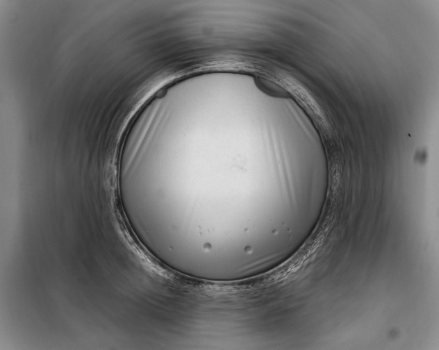 X0000098120852200804181519