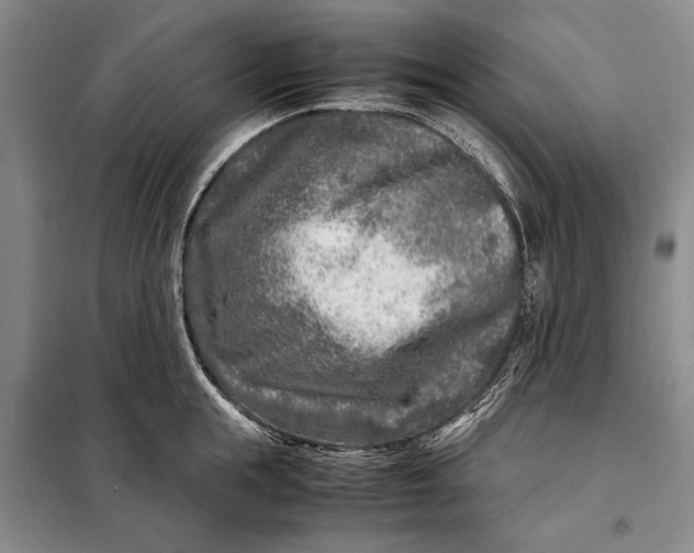 X0000098120855200804181519