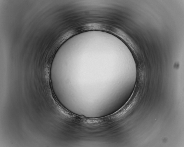 X0000098120857200804181519