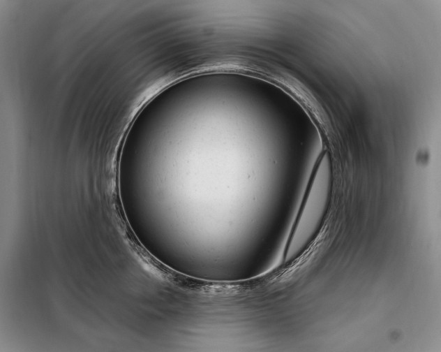 X0000098120858200804181519