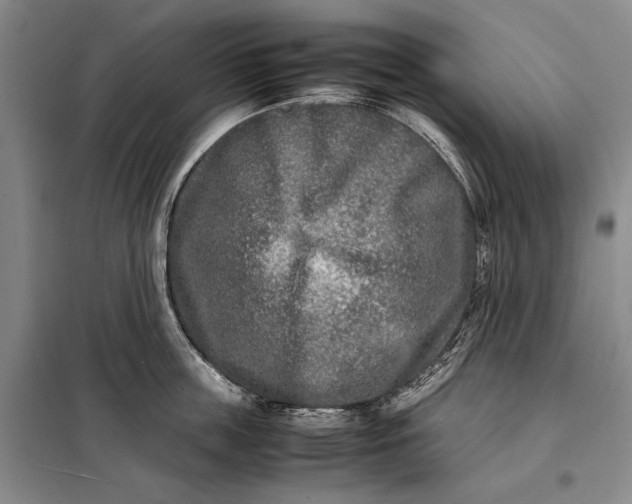 X0000098120859200804181519