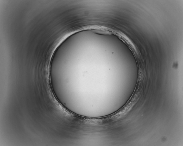 X0000098120860200804181519