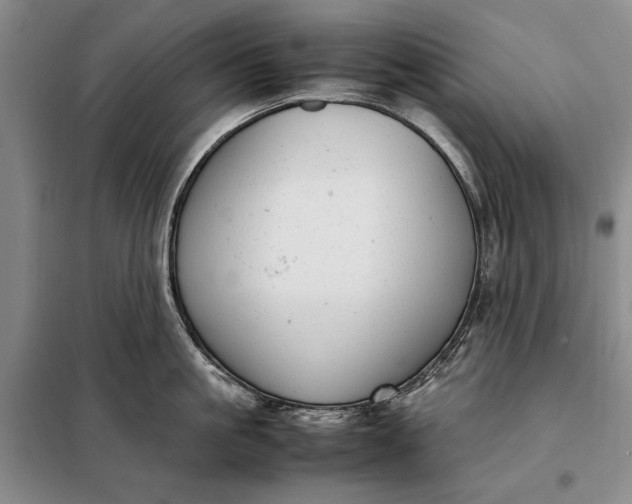 X0000098120861200804181519