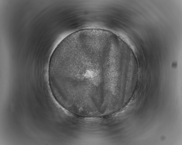 X0000098120863200804181519