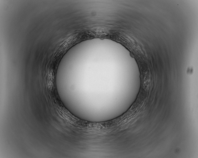 X0000098120866200804181518