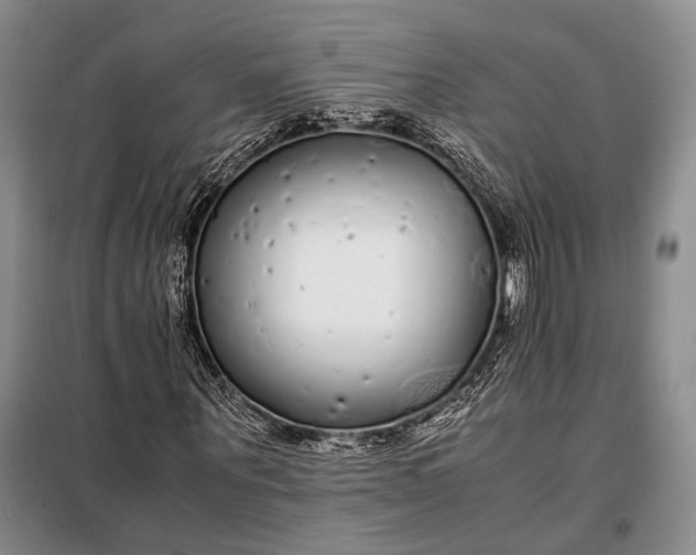 X0000098120867200804181518