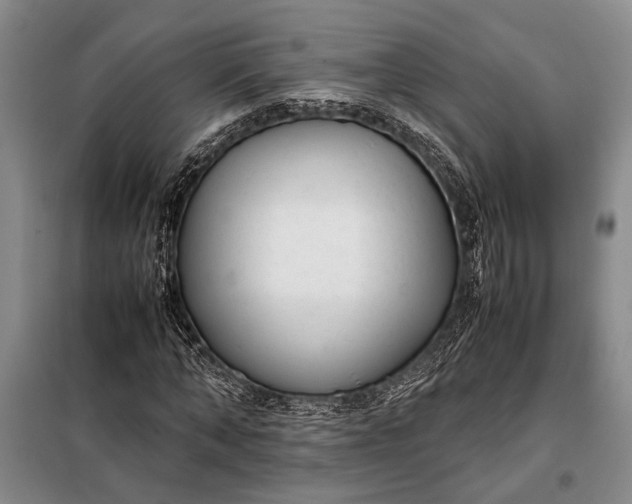 X0000098120870200804181518