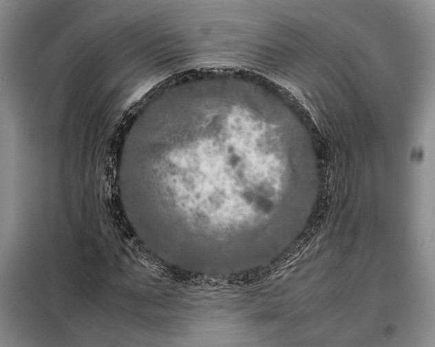 X0000098120871200804181518