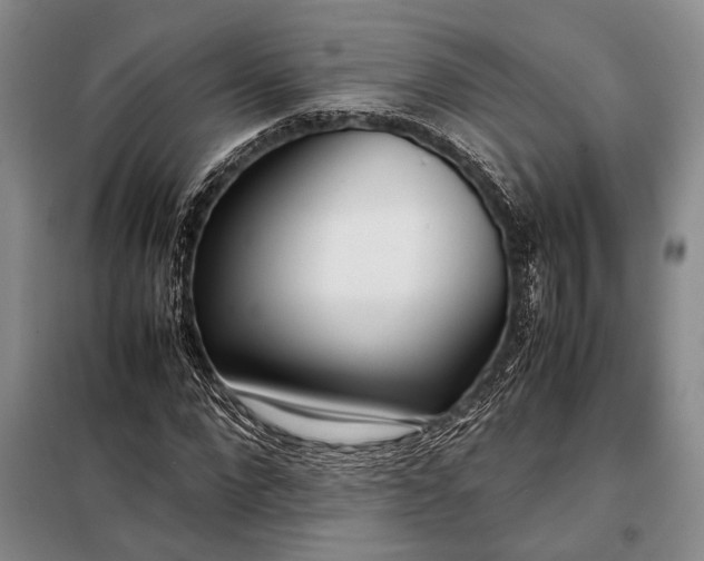 X0000098120872200804181518