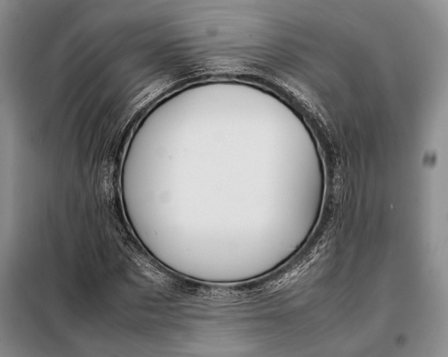 X0000098120873200804181518