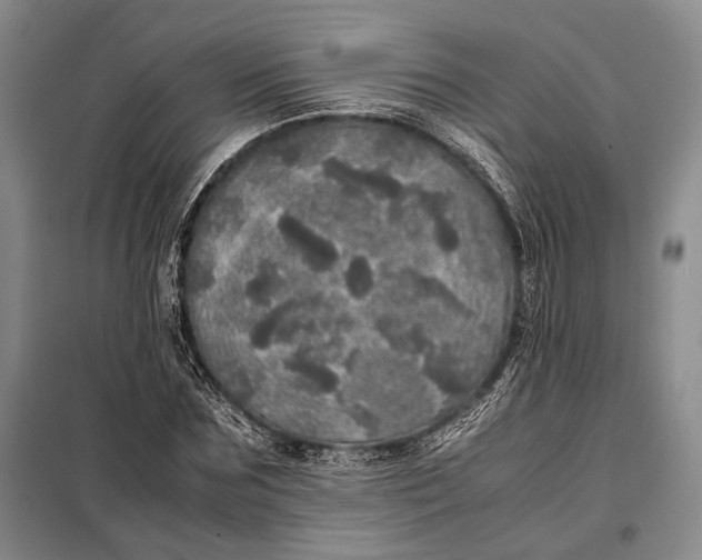 X0000098120875200804181518