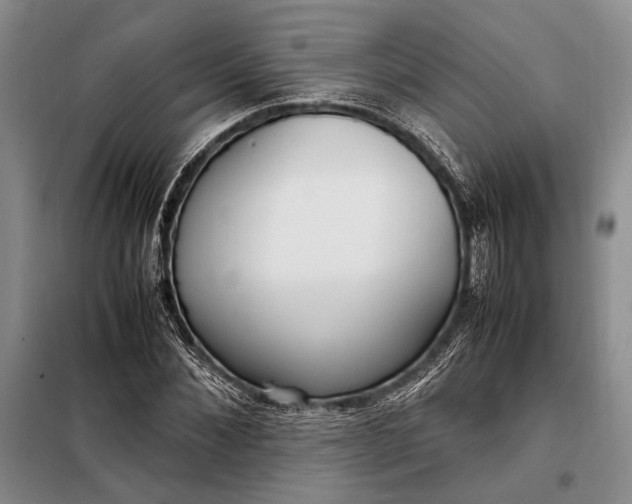 X0000098120876200804181518