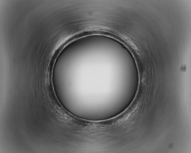X0000098120877200804181518