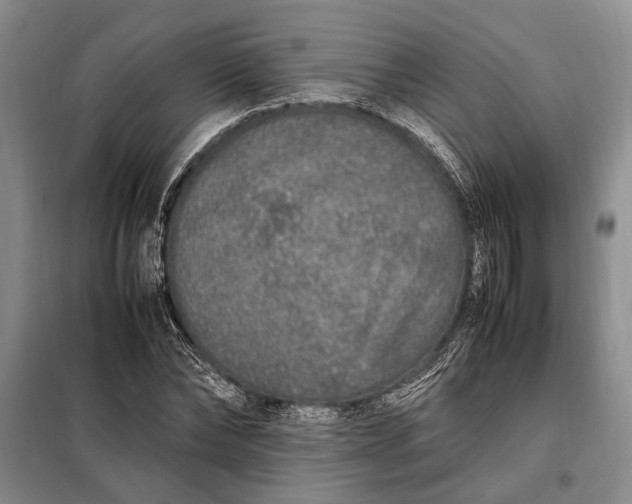 X0000098120878200804181518