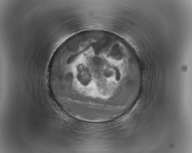 X0000098120879200804181517