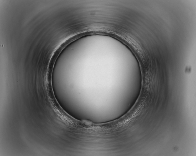 X0000098120880200804181517