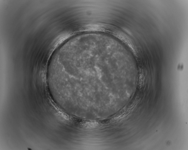 X0000098120882200804181517