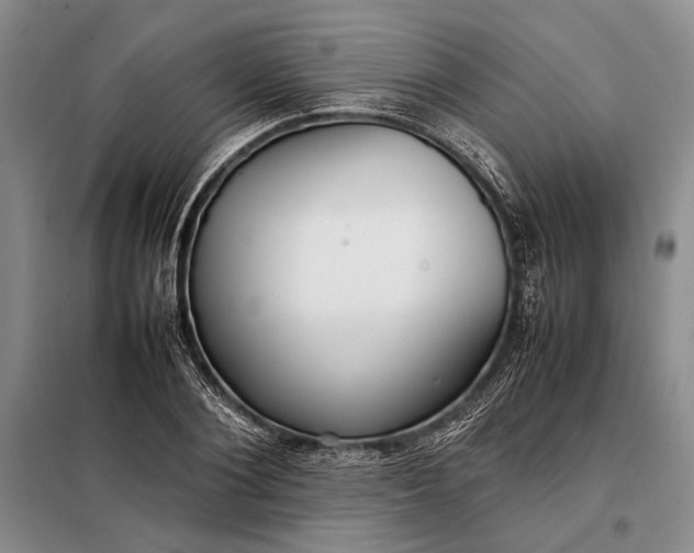 X0000098120884200804181517