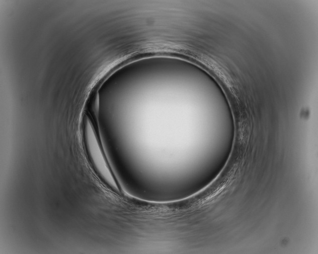 X0000098120885200804181517