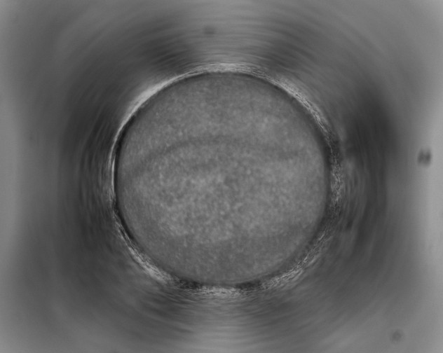 X0000098120886200804181517