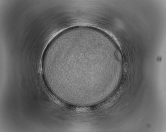 X0000098120887200804181517